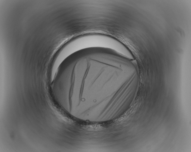 X0000111160112200907281201