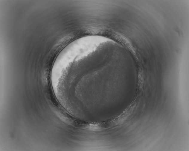 X0000111160114200907281201