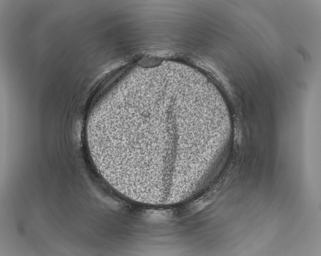 X0000111160115200907281201