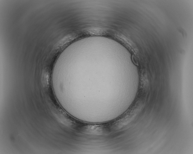 X0000111160117200907281201