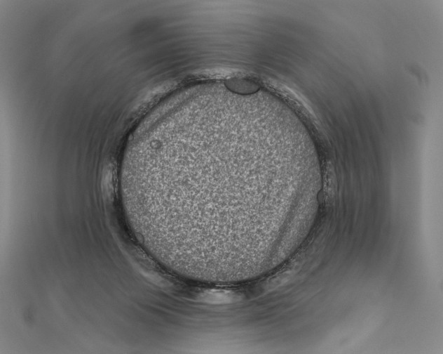 X0000111160119200907281201
