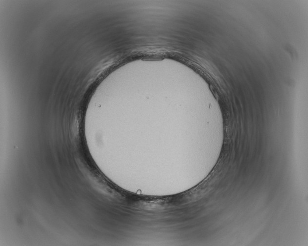X0000111160120200907281201