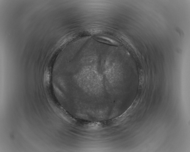 X0000111160124200907281201