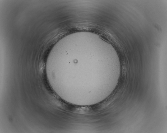 X0000111160125200907281201