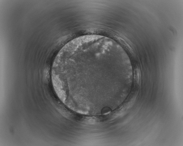 X0000111160127200907281201