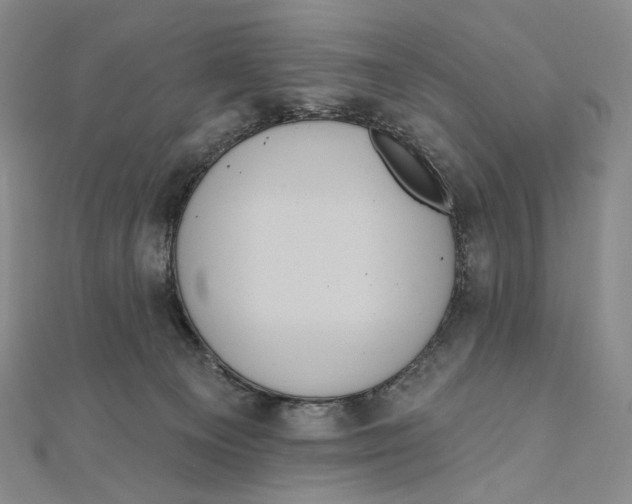X0000111160129200907281201