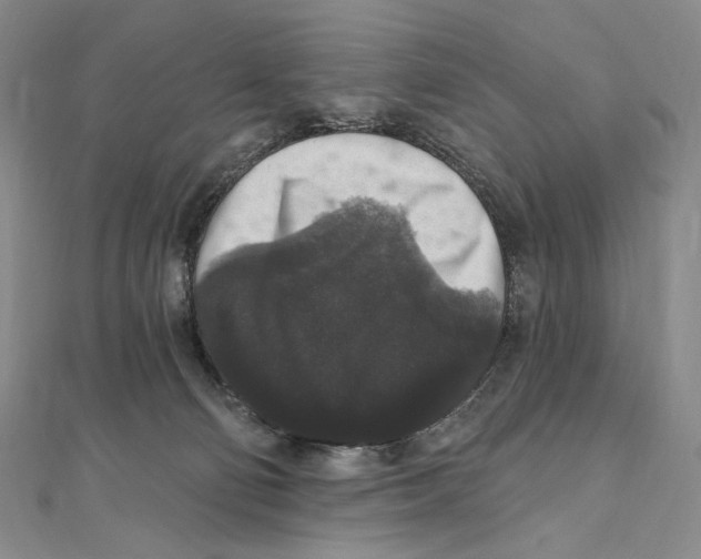 X0000111160130200907281201