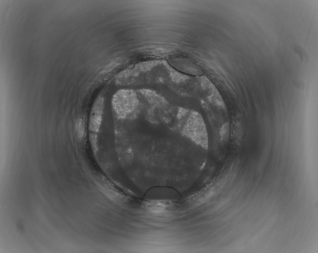 X0000111160131200907281201