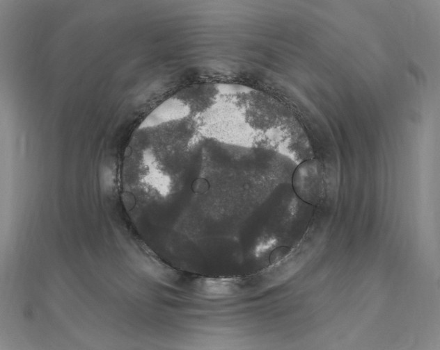 X0000111160134200907281201