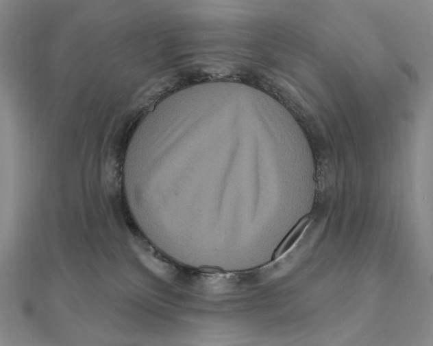 X0000111160136200907281201