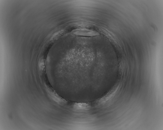 X0000111160137200907281201