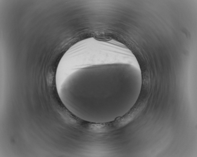X0000111160139200907281201