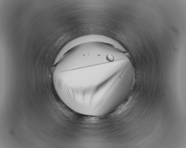 X0000111160140200907281201