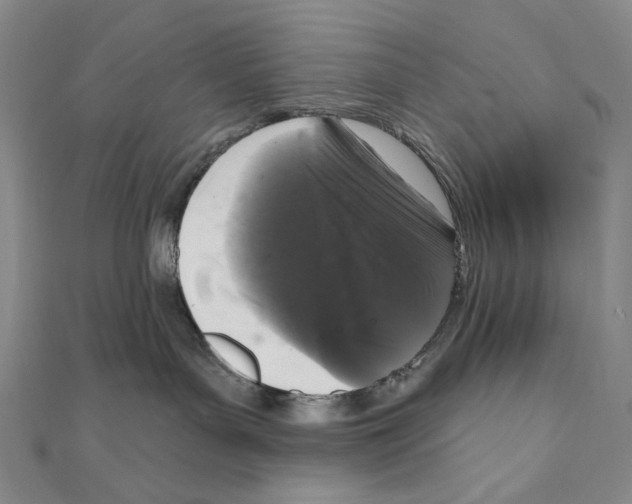 X0000111160143200907281201