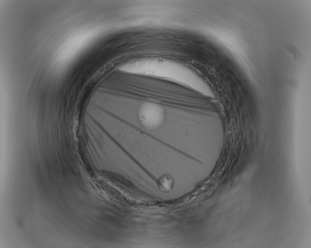 X0000111160146200907281200