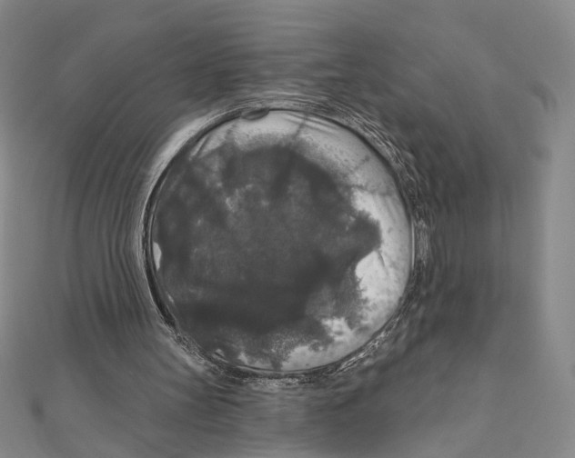 X0000111160147200907281200