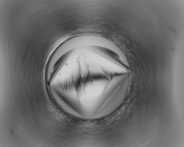 X0000111160148200907281200