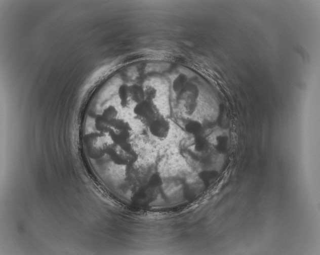 X0000111160149200907281200