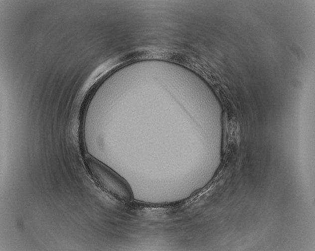 X0000111160150200907281200