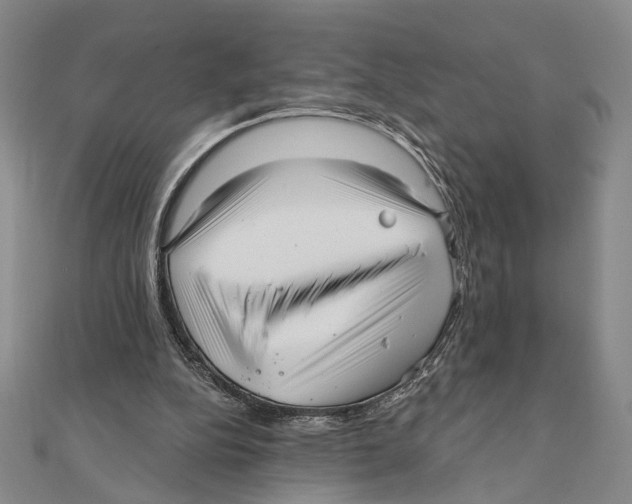 X0000111160152200907281200