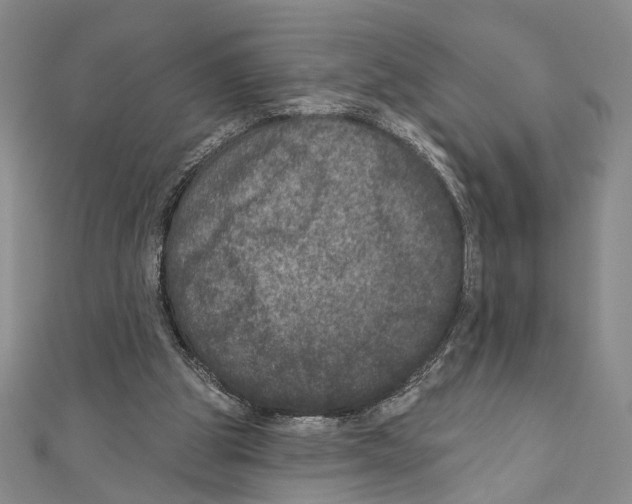 X0000111160153200907281200
