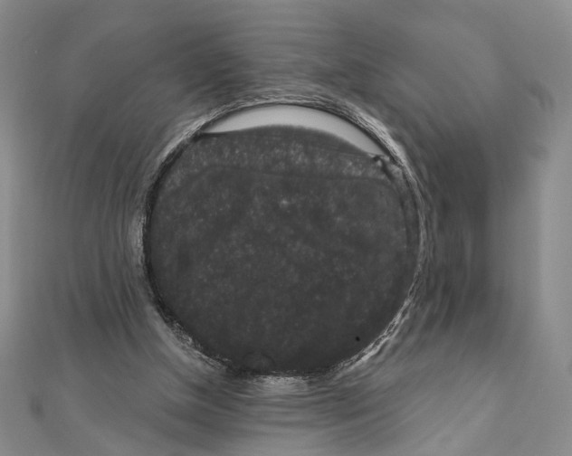X0000111160154200907281200