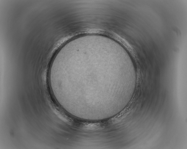 X0000111160155200907281200