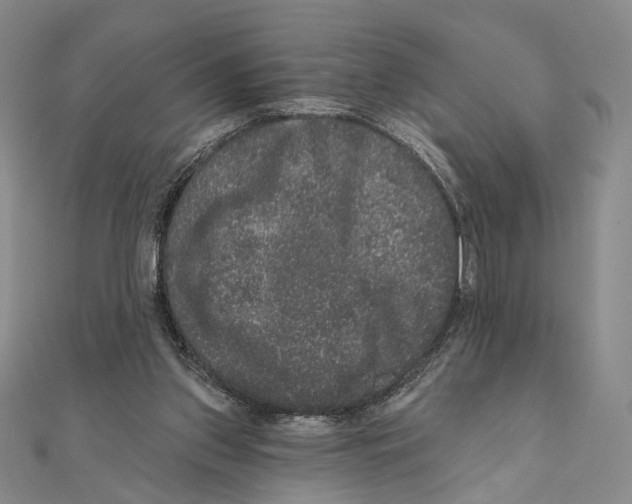 X0000111160157200907281200
