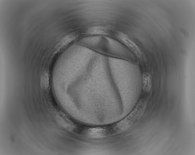 X0000111160158200907281200