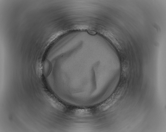 X0000111160160200907281200