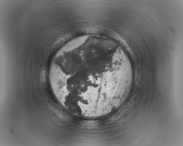 X0000111160161200907281200