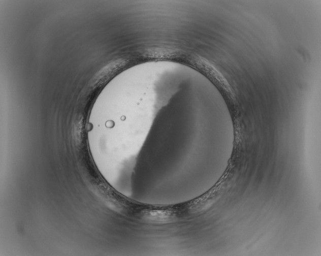 X0000111160163200907281200