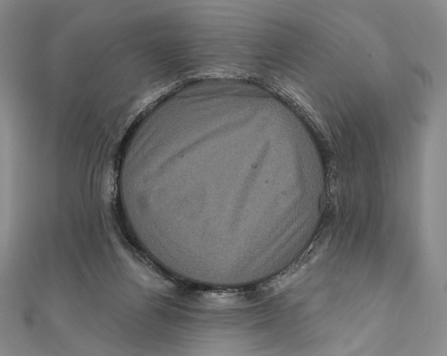 X0000111160164200907281200