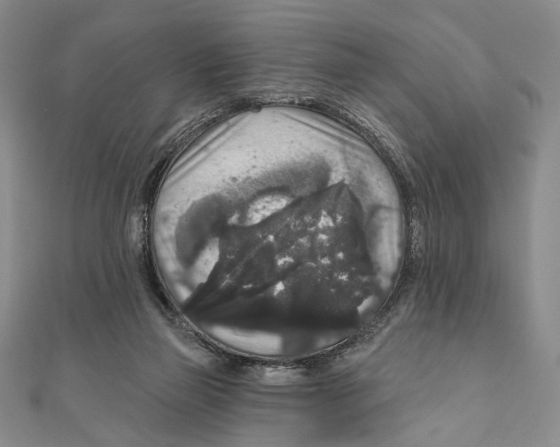 X0000111160165200907281200