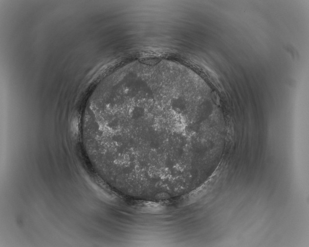 X0000111160166200907281200