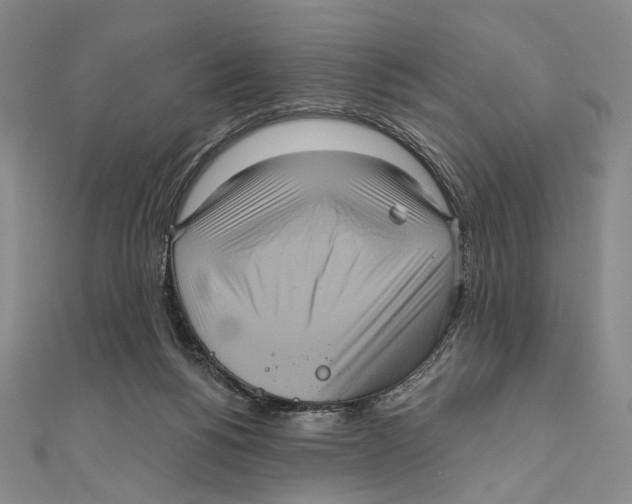 X0000111160168200907281200