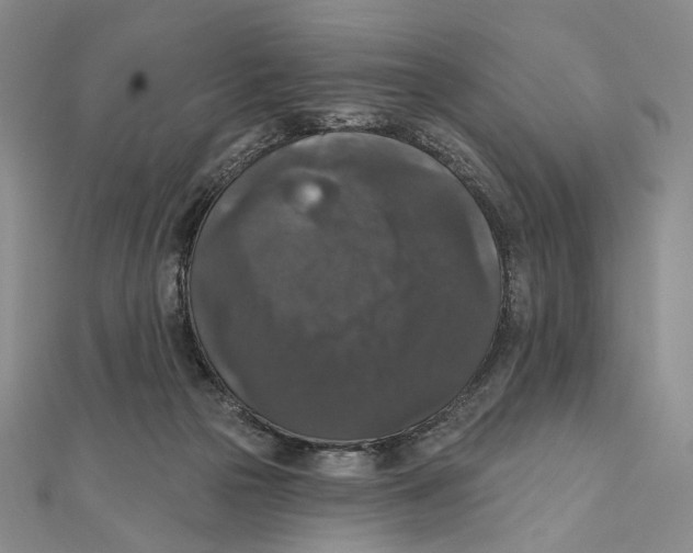 X0000111160169200907281200