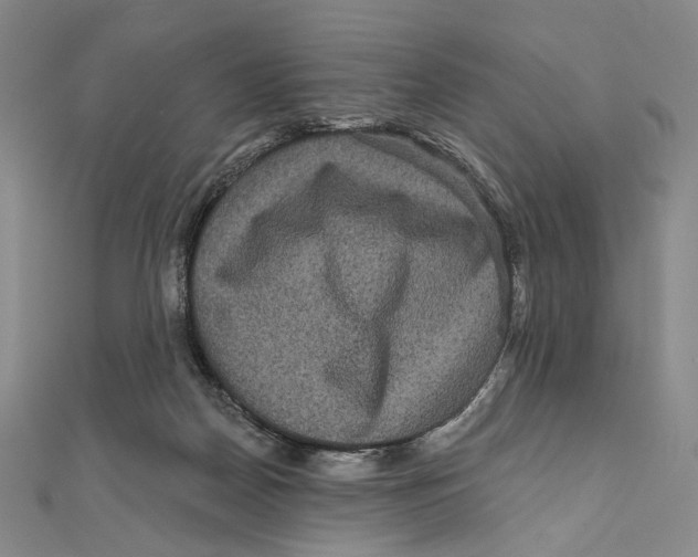X0000111160170200907281200