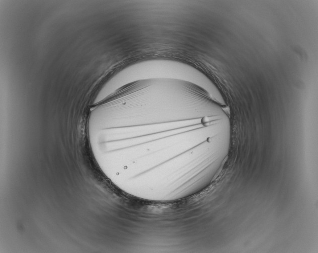 X0000111160172200907281200