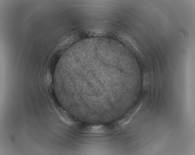 X0000111160173200907281200