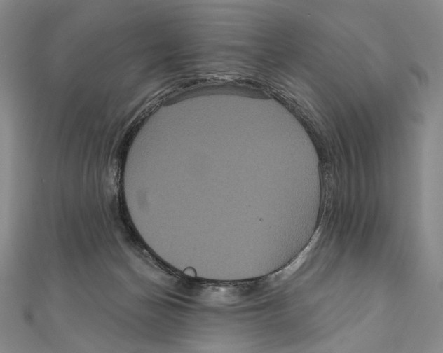 X0000111160174200907281200