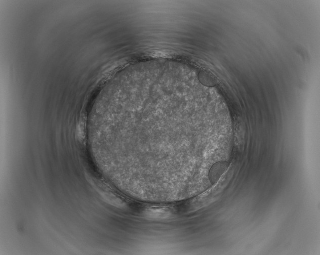X0000111160175200907281200