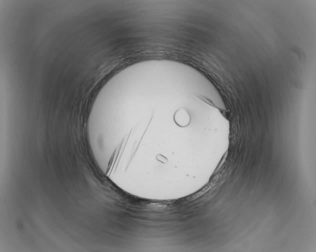 X0000111160176200907281200
