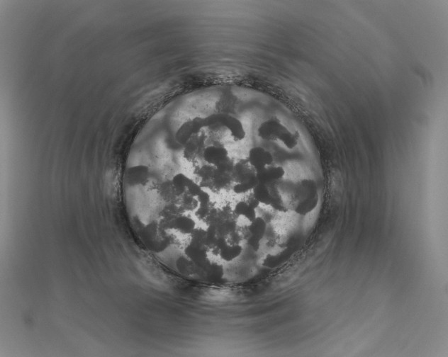 X0000111160177200907281200
