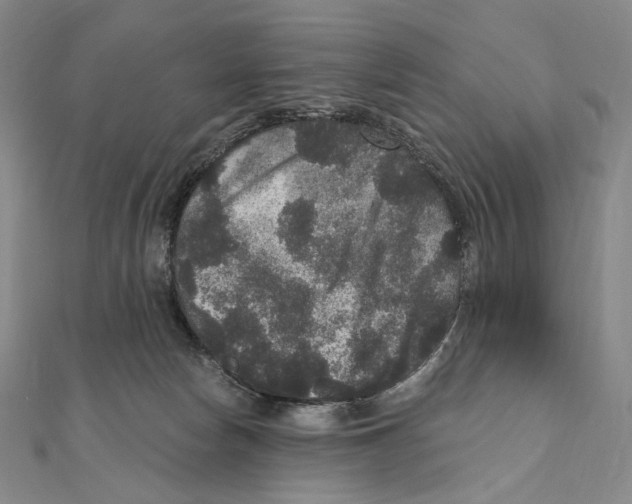 X0000111160178200907281200