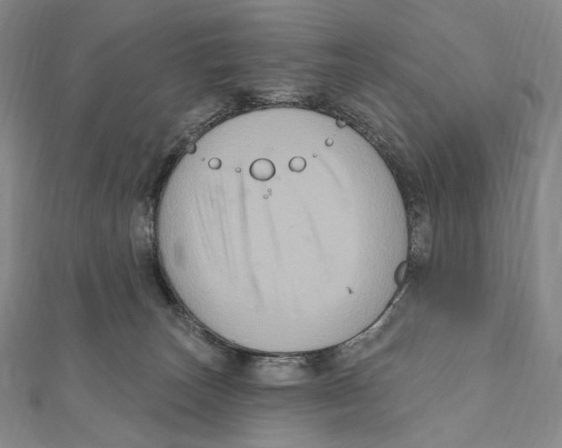 X0000111160179200907281200