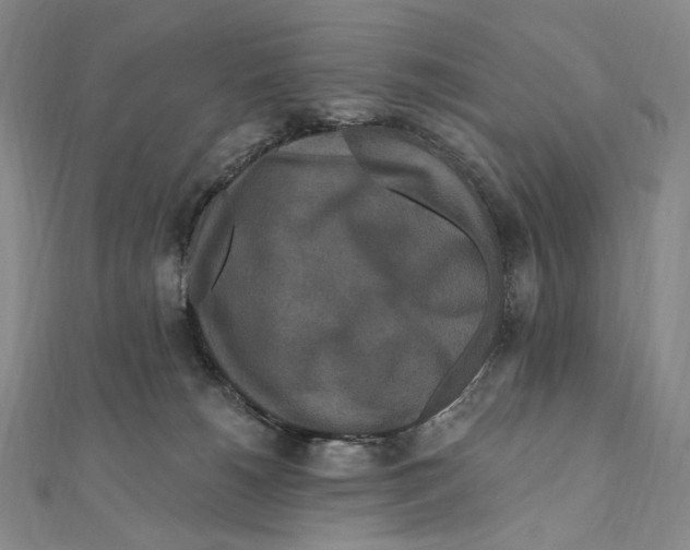 X0000111160180200907281200