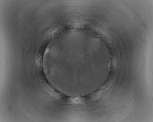 X0000111160181200907281200