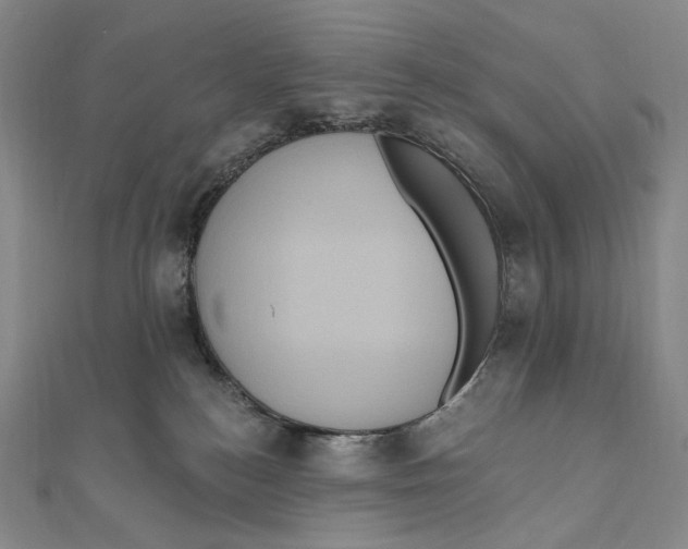 X0000111160184200907281201