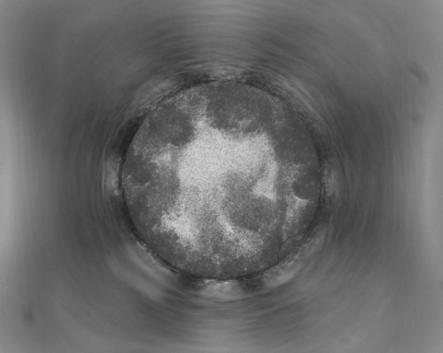 X0000111160185200907281201